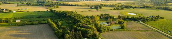 2024 Farmland rental rates - Renting or purchasing depends on many factors